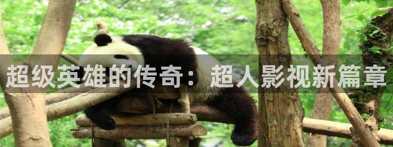 久久电影网91蜜桃：超级英雄的传奇：超人影视新篇章