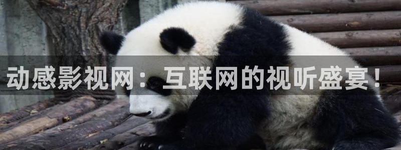 蜜桃视频现在观看：动感影视网：互联网的视听盛宴！