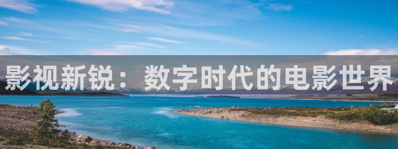 电影水蜜桃汁：影视新锐：数字时代的电影世界