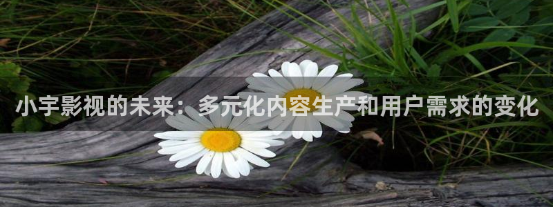 美国美丽小蜜桃电影