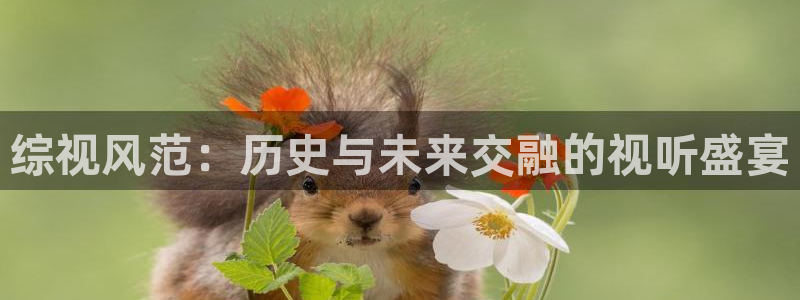 免费的蜜桃在线视频